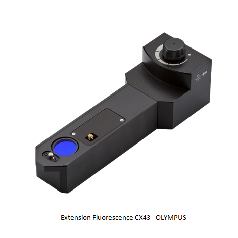 Extension Fluorescence CX43 - OLYMPUS