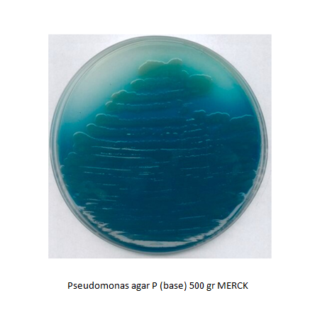 Pseudomonas agar P (base) 500 gr MERCK