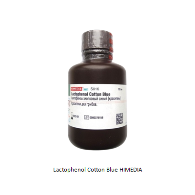 Lactophenol Cotton Blue HIMEDIA