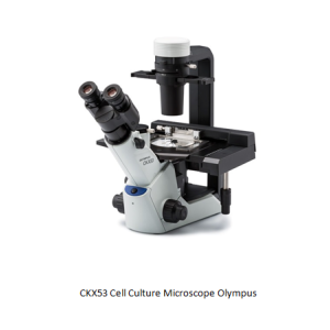 CKX53 Cell Culture Microscope Olympus