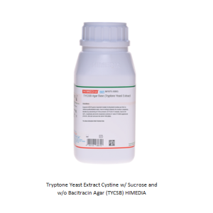 Tryptone Yeast Extract Cystine w/ Sucrose and w/o Bacitracin Agar (TYCSB) HIMEDIA
